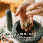 Onadron Damla Ne İşe Yarar?