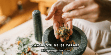 Onadron Damla Ne İşe Yarar?