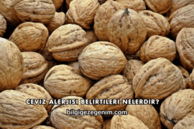 Ceviz Alerjisi Belirtileri Nelerdir?