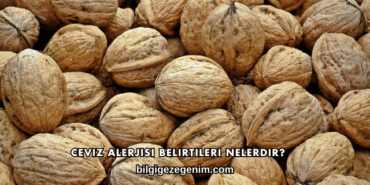 Ceviz Alerjisi Belirtileri Nelerdir?
