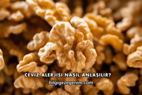 Ceviz Alerjisi Nasıl Anlaşılır?