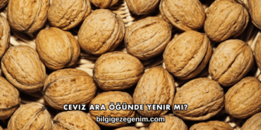 Ceviz Ara Öğünde Yenir mi?