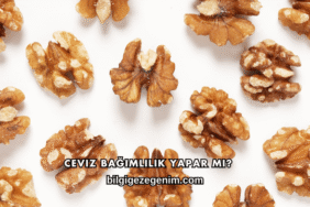 Ceviz Bağımlılık Yapar mı?