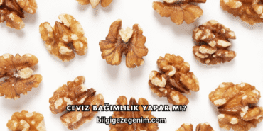 Ceviz Bağımlılık Yapar mı?