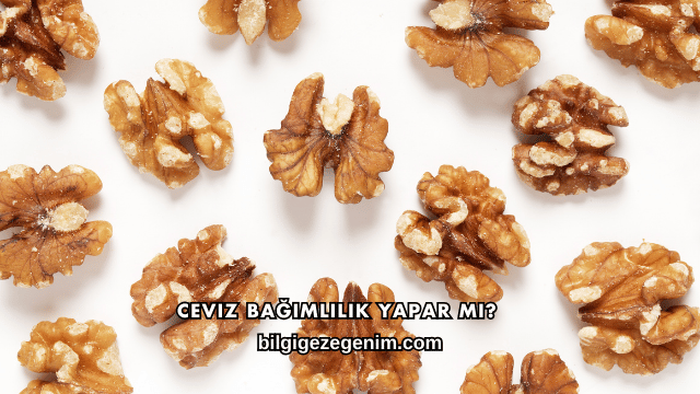 Ceviz Bağımlılık Yapar mı?