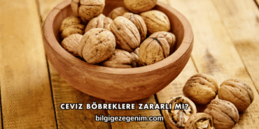 Ceviz Böbreklere Zararlı mı?