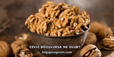 Ceviz Bozulursa Ne Olur?