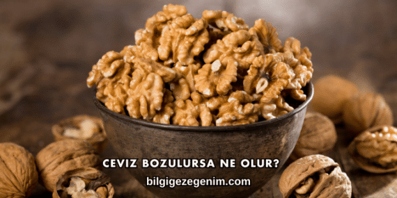 Ceviz Bozulursa Ne Olur?