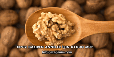 Ceviz Emziren Anneler İçin Uygun mu?