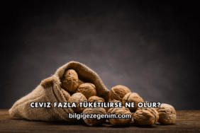 Ceviz Fazla Tüketilirse Ne Olur?