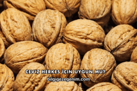Ceviz Herkes İçin Uygun mu?