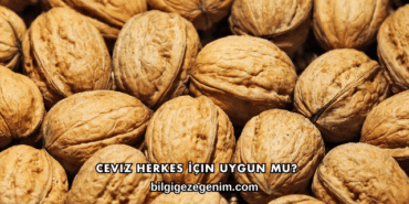 Ceviz Herkes İçin Uygun mu?