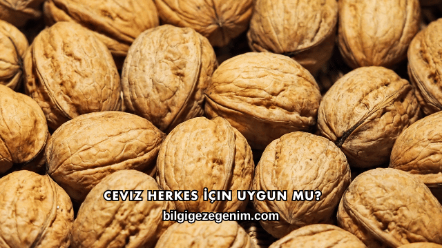 Ceviz Herkes İçin Uygun mu?