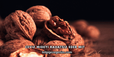 Ceviz Mideyi Rahatsız Eder mi?