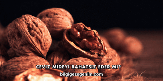 Ceviz Mideyi Rahatsız Eder mi?
