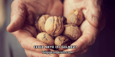 Ceviz Neye İyi Gelmez
