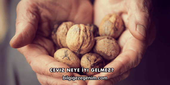 Ceviz Neye İyi Gelmez?