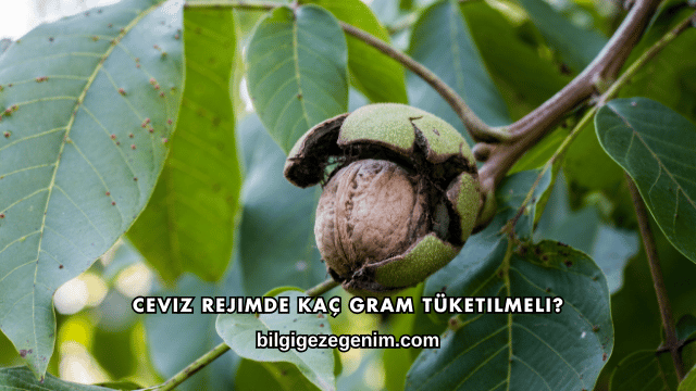 Ceviz Rejimde Kaç Gram Tüketilmeli?
