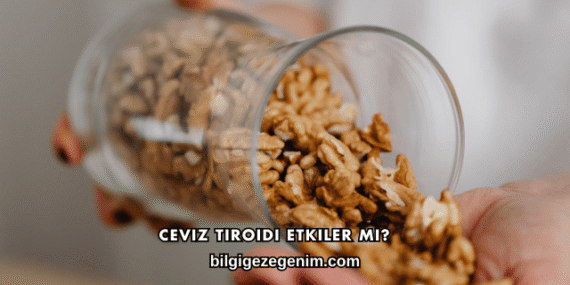 Ceviz Tiroidi Etkiler mi?