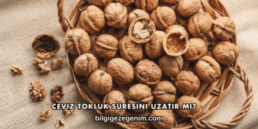 Ceviz Tokluk Süresini Uzatır mı?