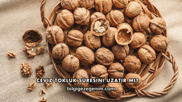 Ceviz Tokluk Süresini Uzatır mı?