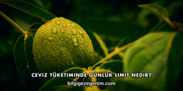 Ceviz Tüketiminde Günlük Limit Nedir?