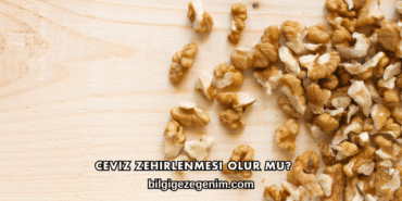 Ceviz Zehirlenmesi Olur mu?