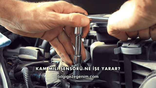 Kam Mili Sensörü Ne İşe Yarar?