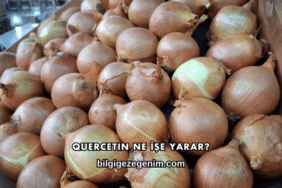 Quercetin Ne İşe Yarar?