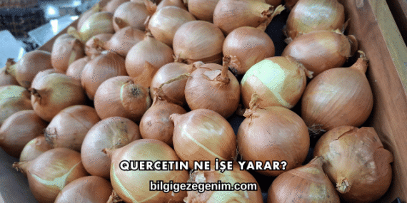 Quercetin Ne İşe Yarar?