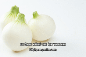 Soğan Kürü Ne İşe Yarar?