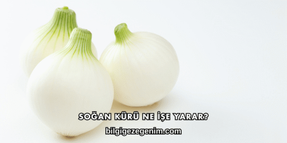 Soğan Kürü Ne İşe Yarar?