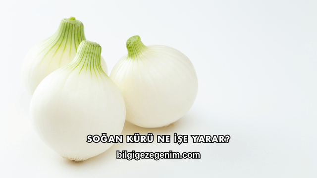 Soğan Kürü Ne İşe Yarar?