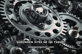 Sürüngen Vites Ne İşe Yarar?