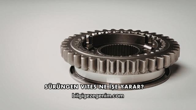 Sürüngen Vites Ne İşe Yarar?