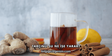 Tarçınlı Su Ne İşe Yarar?