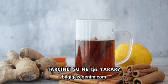 Tarçınlı Su Ne İşe Yarar?