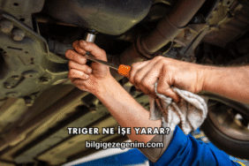 Triger Ne İşe Yarar?