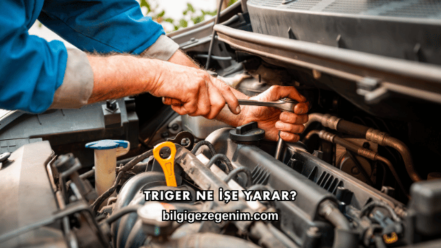 Triger Ne İşe Yarar?